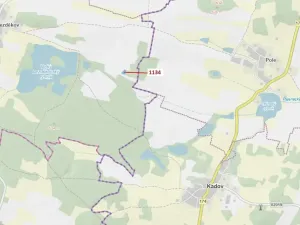 Dražba lesa, Hradiště, 1083 m2