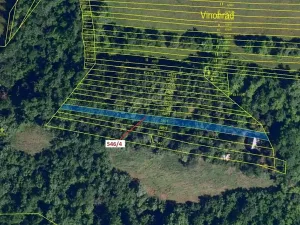 Dražba lesa, Ivančice, 507 m2