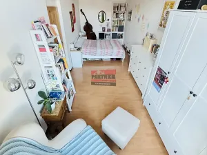 Prodej bytu 3+1, Tábor, Špitálská, 121 m2