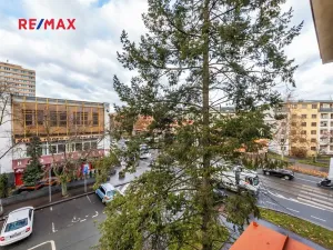 Prodej bytu 1+kk, Praha - Žižkov, Hartigova, 28 m2