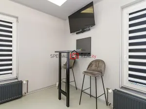 Prodej ubytování, Ostrava, 17. listopadu, 138 m2