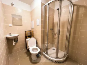 Pronájem bytu 1+1, Karlovy Vary, Koptova, 55 m2