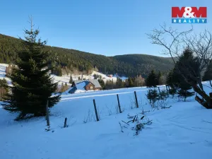 Prodej louky, Malá Úpa - Dolní Malá Úpa, 2445 m2