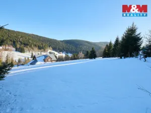 Prodej louky, Malá Úpa - Dolní Malá Úpa, 2445 m2