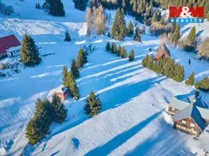 Prodej louky, Malá Úpa - Dolní Malá Úpa, 2445 m2