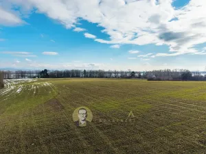 Prodej pozemku pro bydlení, Česká Skalice, 30928 m2