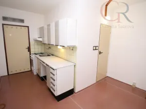 Pronájem bytu 2+1, Plzeň - Severní Předměstí, Elišky Krásnohorské, 65 m2