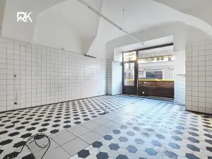 Prodej rodinného domu, Kolín, Pražská, 600 m2