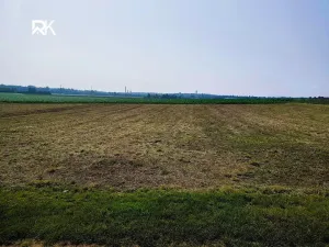 Prodej pozemku pro bydlení, Nová Ves I, 1400 m2