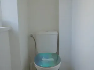 Prodej bytu 2+1, Bechyně, Na Libuši, 59 m2