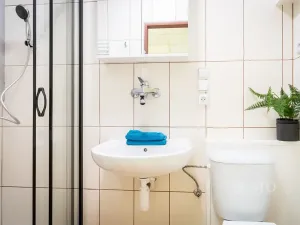 Pronájem rodinného domu, Brno, Kosmákova, 70 m2