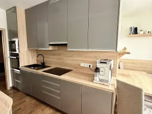 Prodej bytu 3+1, Bruntál, Dolní, 60 m2