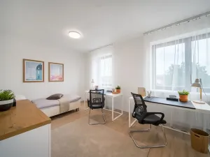 Prodej bytu 1+kk, Holubice, 29 m2