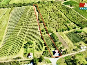 Prodej vinného sklepa, Perná, 31 m2