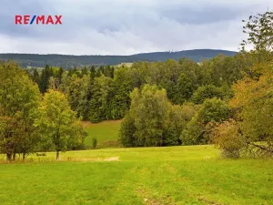 Prodej pozemku pro bydlení, Orličky, 61702 m2