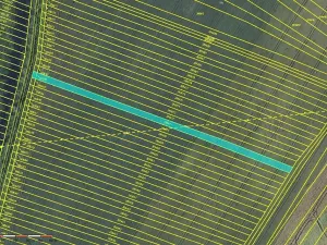 Prodej pole, Moravská Nová Ves, 952 m2