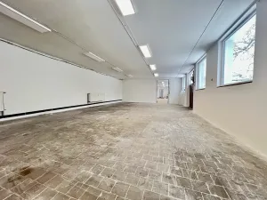 Pronájem výrobních prostor, Kolín, Havlíčkova, 207 m2