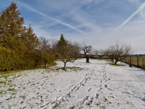 Prodej rodinného domu, Vinaře, 103 m2