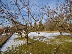 Prodej rodinného domu, Vinaře, 103 m2