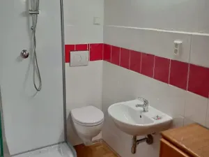 Pronájem bytu 1+kk, Praha - Smíchov, 140 m2