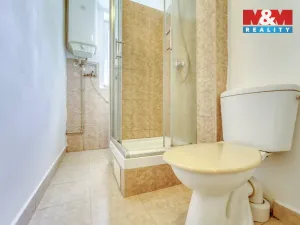 Pronájem bytu 1+kk, Plzeň - Doubravka, Masarykova, 28 m2