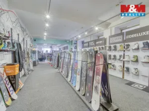 Pronájem obchodního prostoru, Plzeň - Vnitřní Město, Zbrojnická, 598 m2