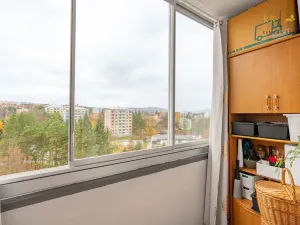 Pronájem bytu 1+kk, Brno, Opálkova, 24 m2