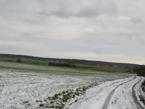 Dražba louky, Chotěšice, 11382 m2