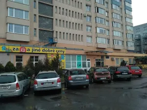 Pronájem bytu 1+kk, Praha - Troja, Olštýnská, 27 m2