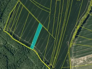 Prodej pole, Kojetín, 16106 m2