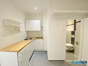 Pronájem bytu 1+1, Praha - Karlín, Peckova, 29 m2