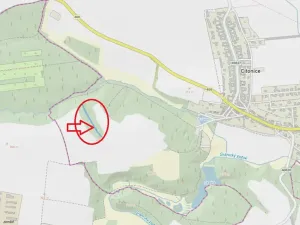 Prodej lesa, Citonice, 1777 m2