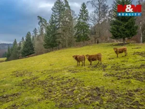 Prodej pozemku pro bydlení, Chřibská - Horní Chřibská, 20128 m2