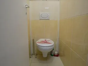 Pronájem bytu 3+1, Přerov, tř. Gen. Janouška, 78 m2