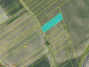 Prodej pole, Stašov, 4023 m2