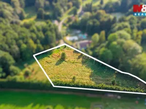 Prodej louky, Nový Bor - Janov, 5500 m2