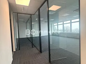 Pronájem skladu, Brno, Vídeňská, 175 m2