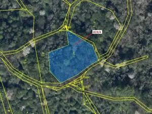 Dražba lesa, Zubrnice, 2875 m2