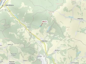 Dražba lesa, Zubrnice, 8765 m2