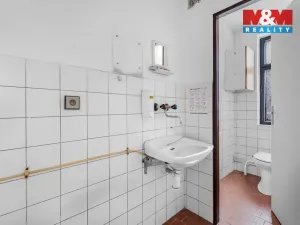 Prodej obchodního prostoru, Studenec, 801 m2