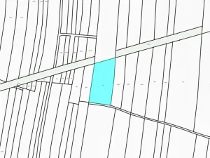 Dražba pole, Chotěšov, 7368 m2