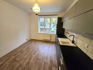 Pronájem bytu 2+1, Lom, Havlíčkovo náměstí, 55 m2