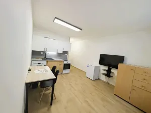 Pronájem bytu 1+kk, Sokolov, Mičurinova, 21 m2