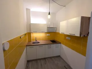 Pronájem bytu 1+1, Ústí nad Labem, Stroupežnického, 33 m2