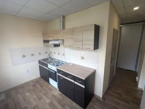 Pronájem bytu 2+1, Bílina, M. Švabinského, 55 m2