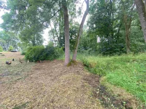 Prodej pozemku, Březová, 1993 m2