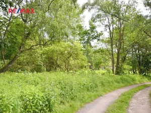 Prodej zahrady, Lázně Kynžvart, 7221 m2