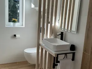 Prodej bytu 2+kk, Liberec, Červeného, 64 m2