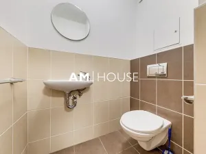 Pronájem bytu 3+kk, Praha - Vysočany, Ocelářská, 81 m2