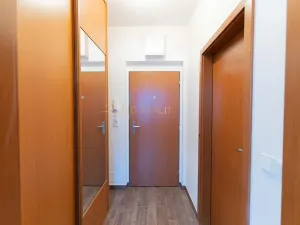 Pronájem bytu 1+kk, Olomouc, Jarmily Glazarové, 37 m2